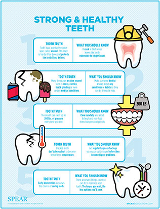 healthy teeth chart