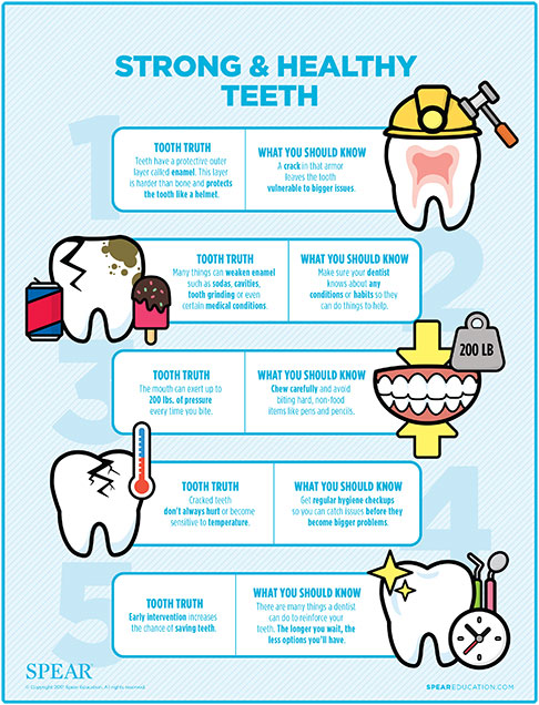 Cracked tooth infographic